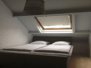 Duinroos Home With Terrace