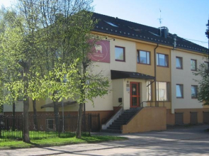 Auksines Avis