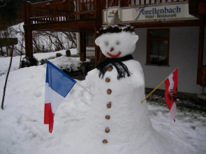 Hotel Forellenbach