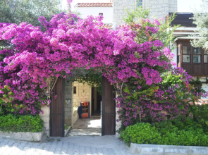 Alacati Yamac Evi Butik Otel