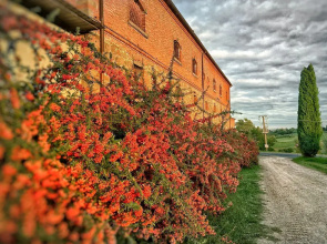 Fattoria Santa Vittoria Apartment "lepre"