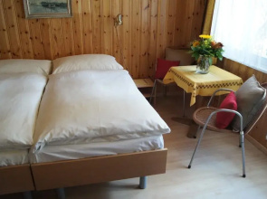 Hotel Alpina