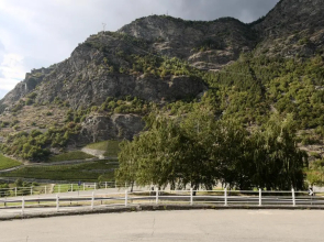 View of the vineyards