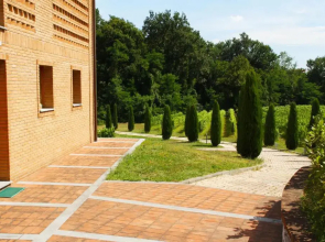 Il Sogno Tra I Vigneti