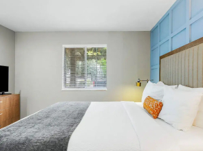 Prime Buckhead Chic Condo in Atlanta