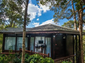 Red Panda Manor Pu’re