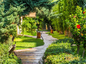 Sarıtaş Hotel - All Inclusive