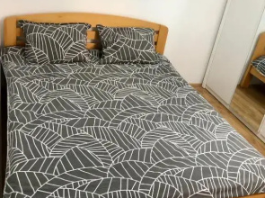 Apartment ANDREI