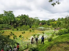 Amazon Oasis Lodge