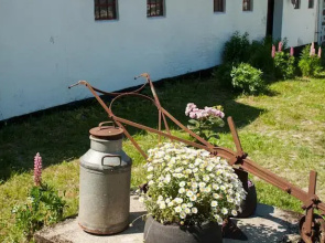 Trangemosegaard