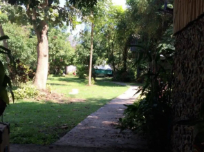 Pai Topia