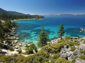 Owl's Peak by Avantstay Private Pine Tree Cabin Mins From The Water