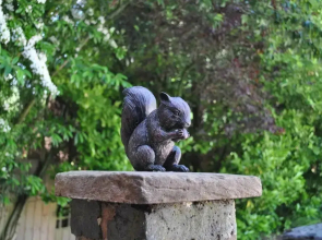 Squirrel Barn