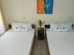 Cabinas Coco Alegre