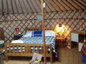 Koa Tree Camp