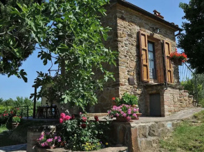 Monterzi 4 in San Giovanni d Asso