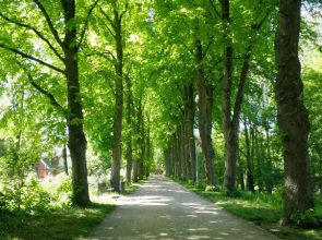 RB City Apartments Emden am Wall 2