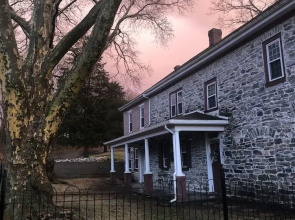 The Avenue Guesthouse and Gallery