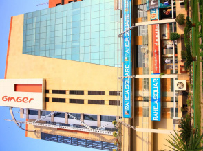 Ginger Manesar