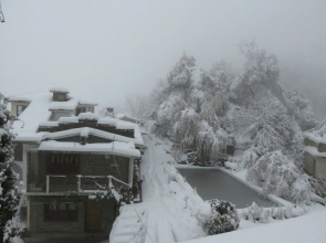 Trishul Orchard Resort
