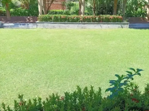 The Chariot Resort & Spa- Puri
