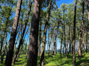 Апартаменты на Комсомольском переулке