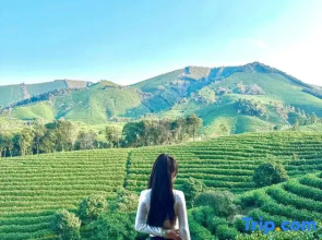 Cloud RAINBOW· Monet Garden · Stream Tracing Resort Homestay