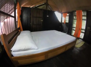 Amazon Experience Hostel