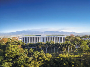 Barceló San José