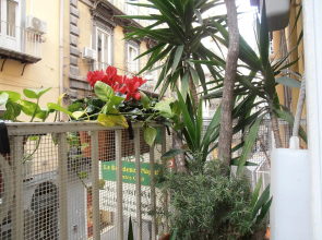B&B Plebiscito Home