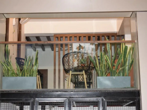 Hotel New Centro