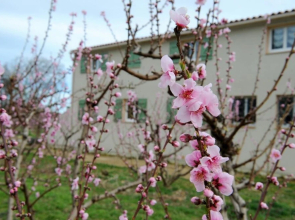House With 3 Bedrooms in Thuir, With Wonderful Mountain View, Furnishe