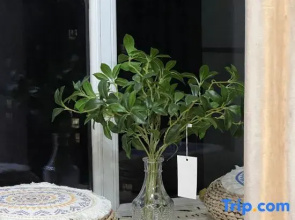 House Homestay in Nippori (Jiahe Tianyue Didu Apartment)