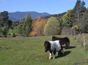 Whispering Spirit Holiday Cottages