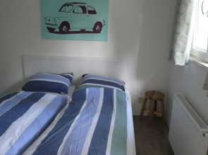 Dolfijn