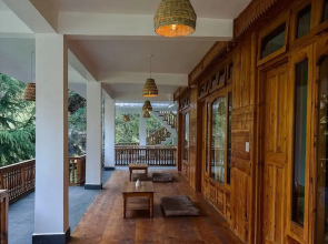 The Woods - Tirthan Valley