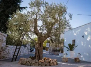 Residenze nei Trulli