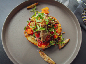 Hotel Fontan Reforma Centro Histórico