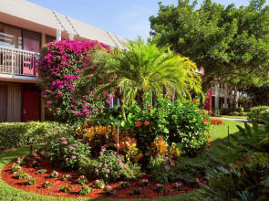 Collins Hotel Naples