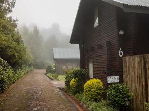 Viewpoint - Cabin 4