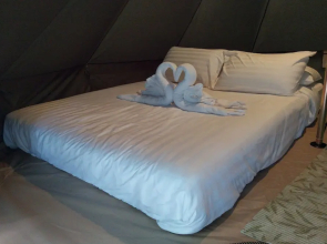 It My Life Cafe X Camp