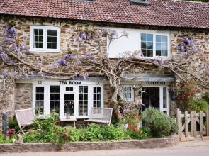 The Bark House