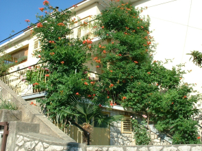 Apartment Ivo A3-Vilma Crikvenica, Riviera Crikvenica