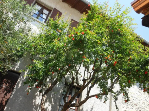 Agriturismo Cassinazza