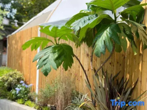 Green Heart Yard Homestay