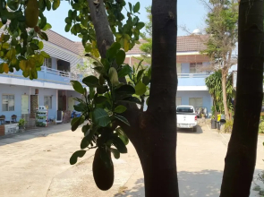At Puangpetch Mukdahan