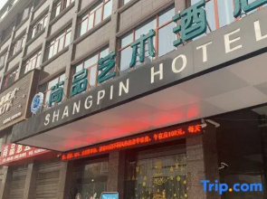 Taoyuan Shangpin Art Hotel