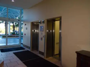 Palacio 502