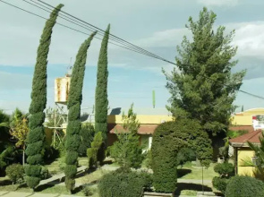 Motel 3 Caminos
