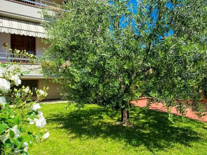 Bed & Breakfast Profumo D'Estate
